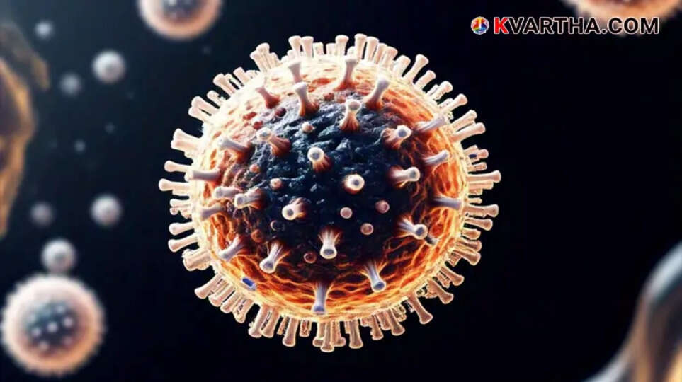 Human Metapneumovirus alert in India, health advisory
