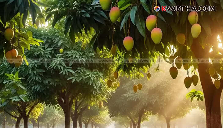 A tall tree with green berries, symbolizing the glue tree of childhood memories.