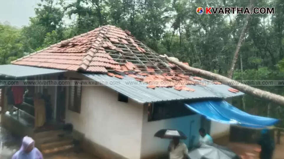 Damaged Life Mission house in Taliparamba after a coconut tree fell on it.