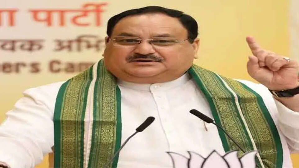 Tirupati Laddu Scandal, Animal Fat Found, Chandrababu Naidu