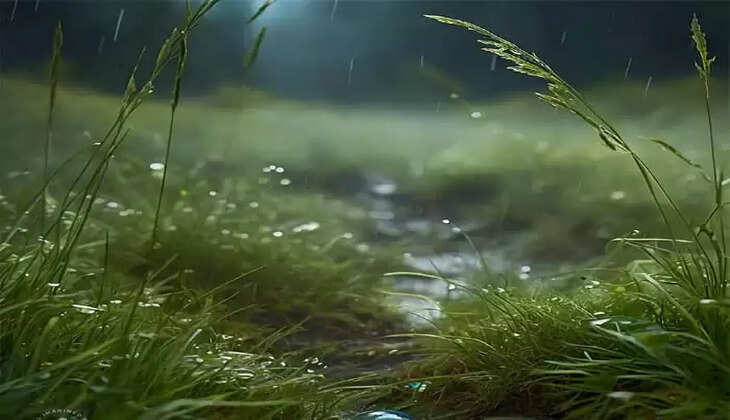 Heavy rain prediction holiday announced for educational institutions in eight districts, Heavy Rain, Prediction, Holiday, Announced, Educational Institutions, Eight Districts, Rain, Weather.