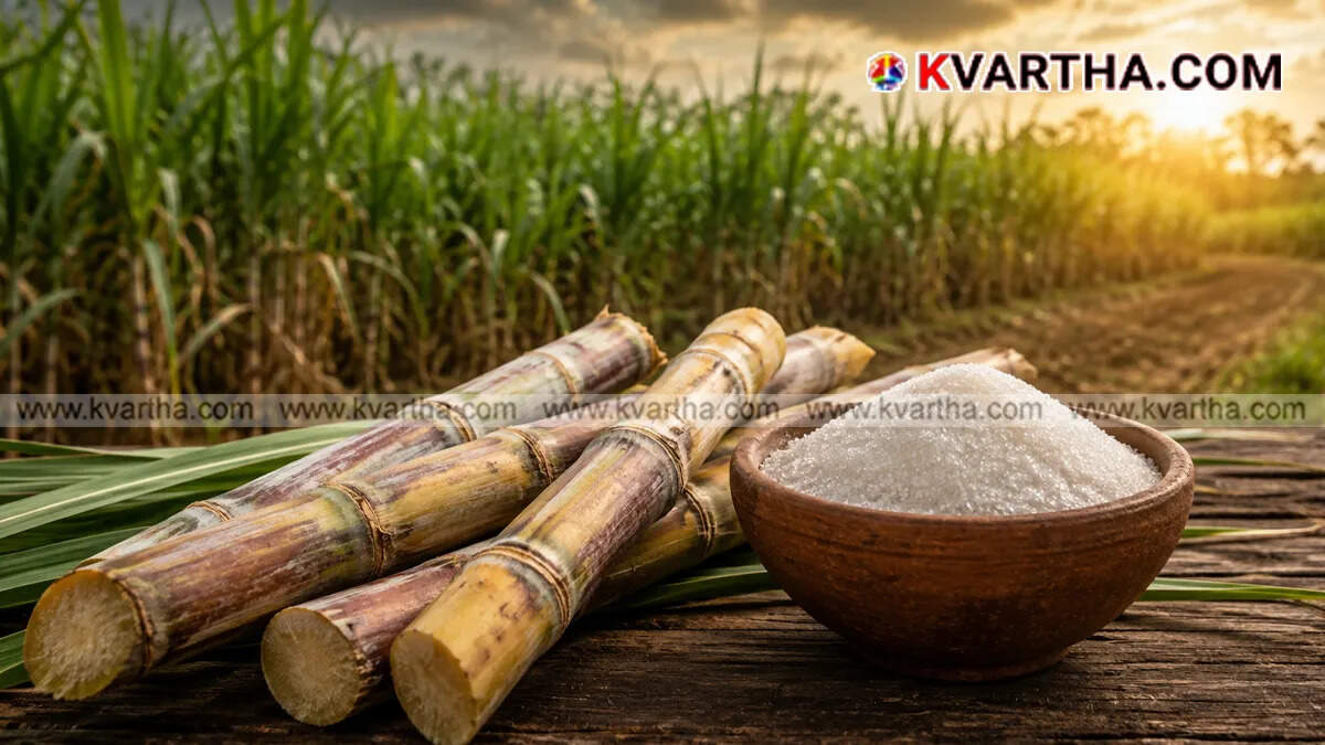 A symbolic image of the protest by sugarcane farmers in Maharashtra