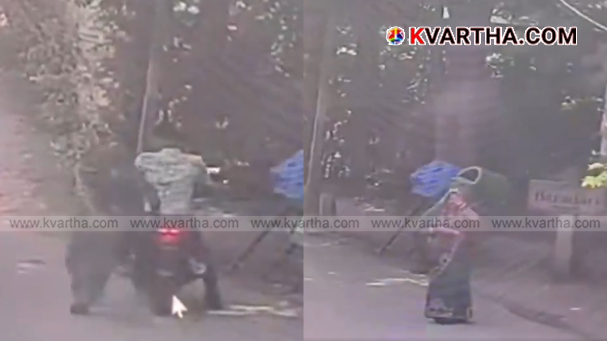 image of a CCTV camera surveillance in a public place like a zoo entrance