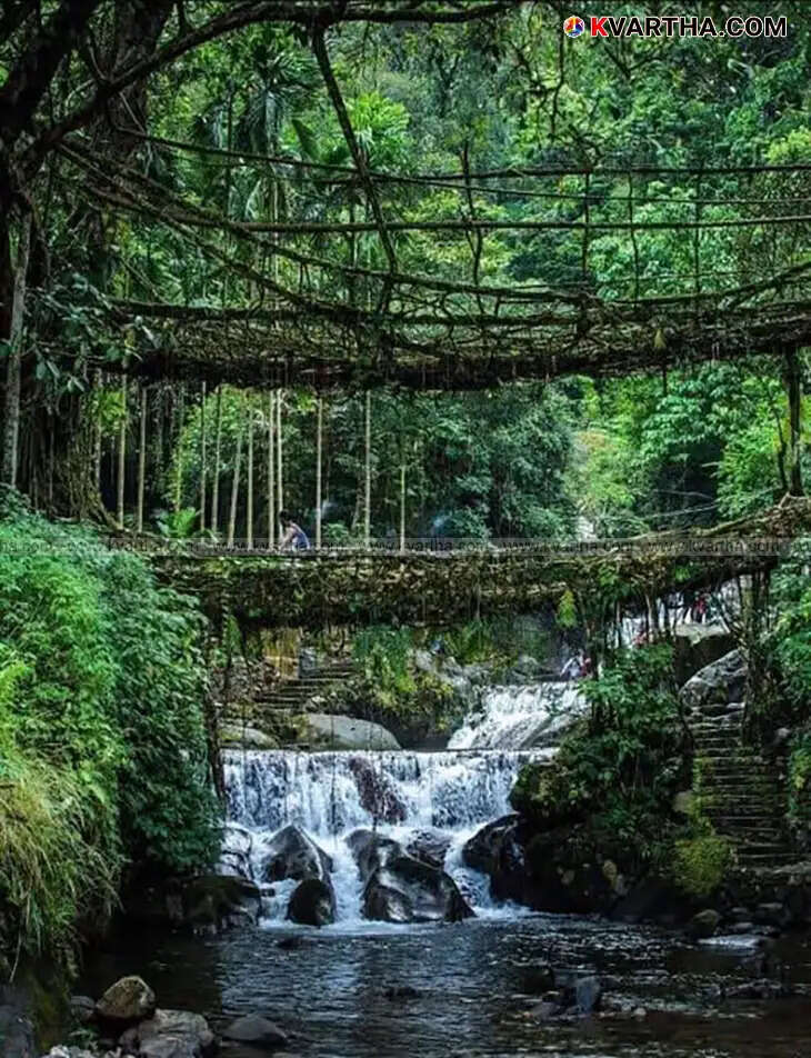 Image Of Trek to the Double-Decker Root Bridge