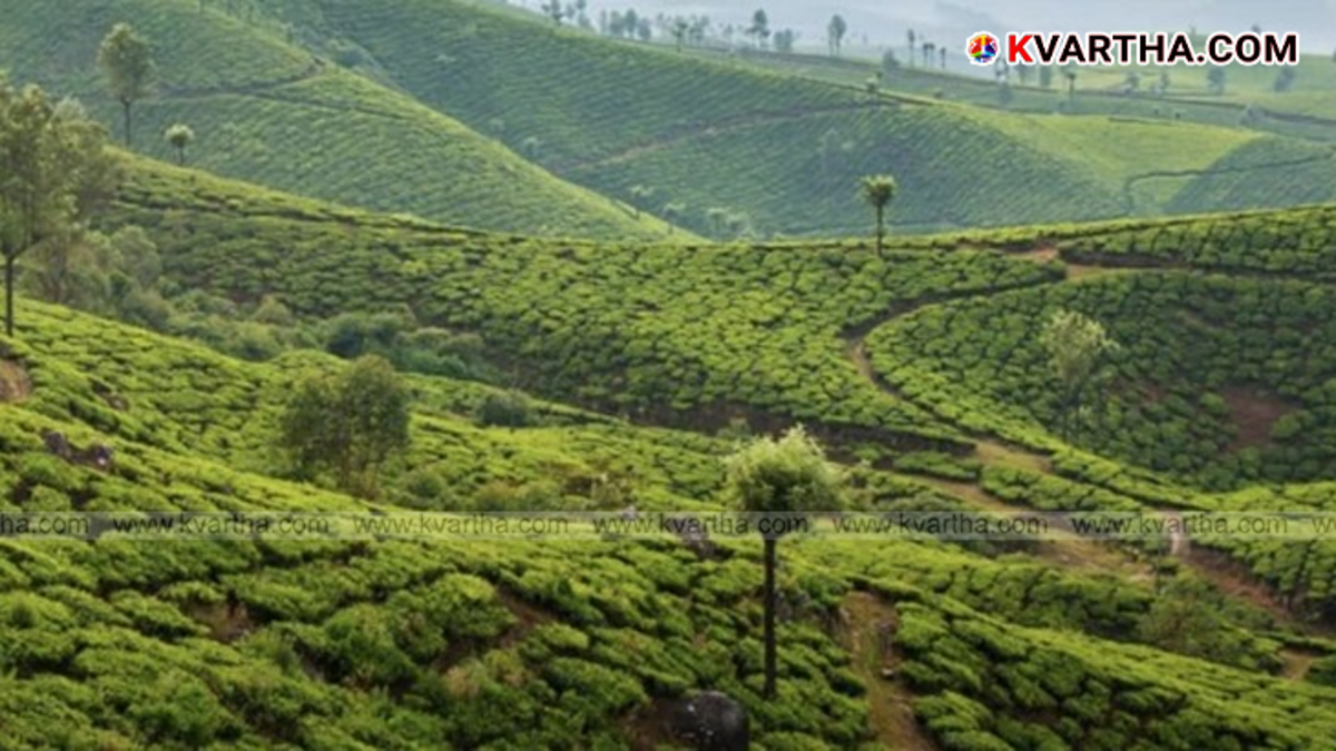 Karnataka Tourism Development Corporation post promoting Wayanad tourism