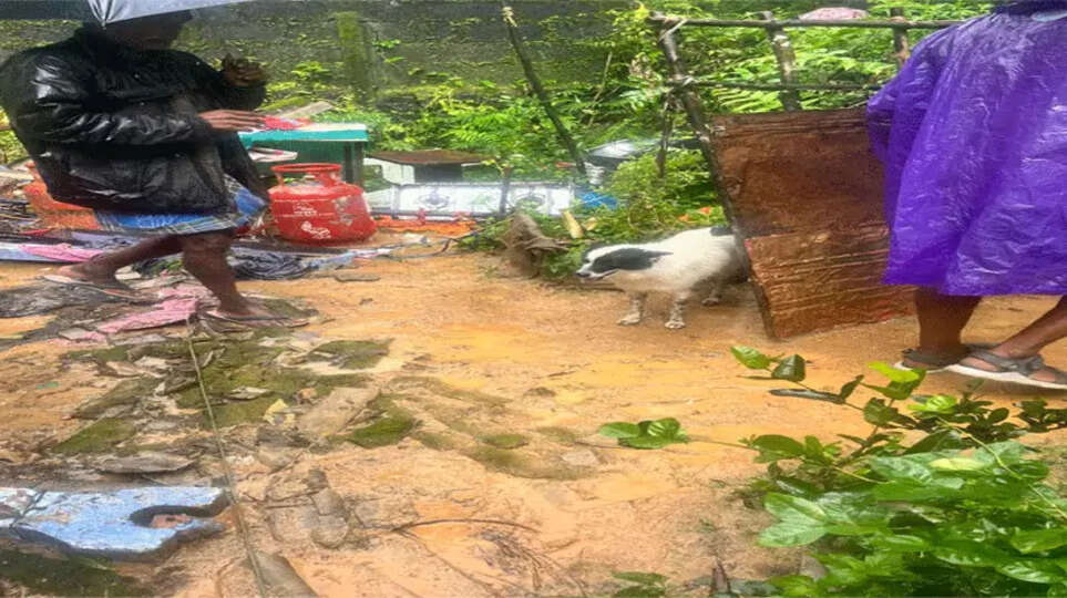 Landslide in Wayanad: Over 160 Dead, 210 Still Missing