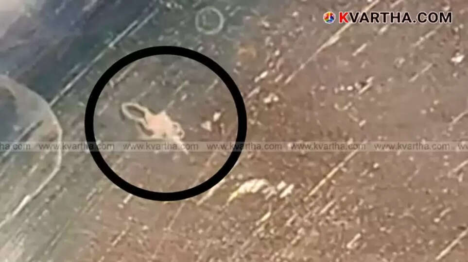 Ottapalam Taluk Hospital building exterior.