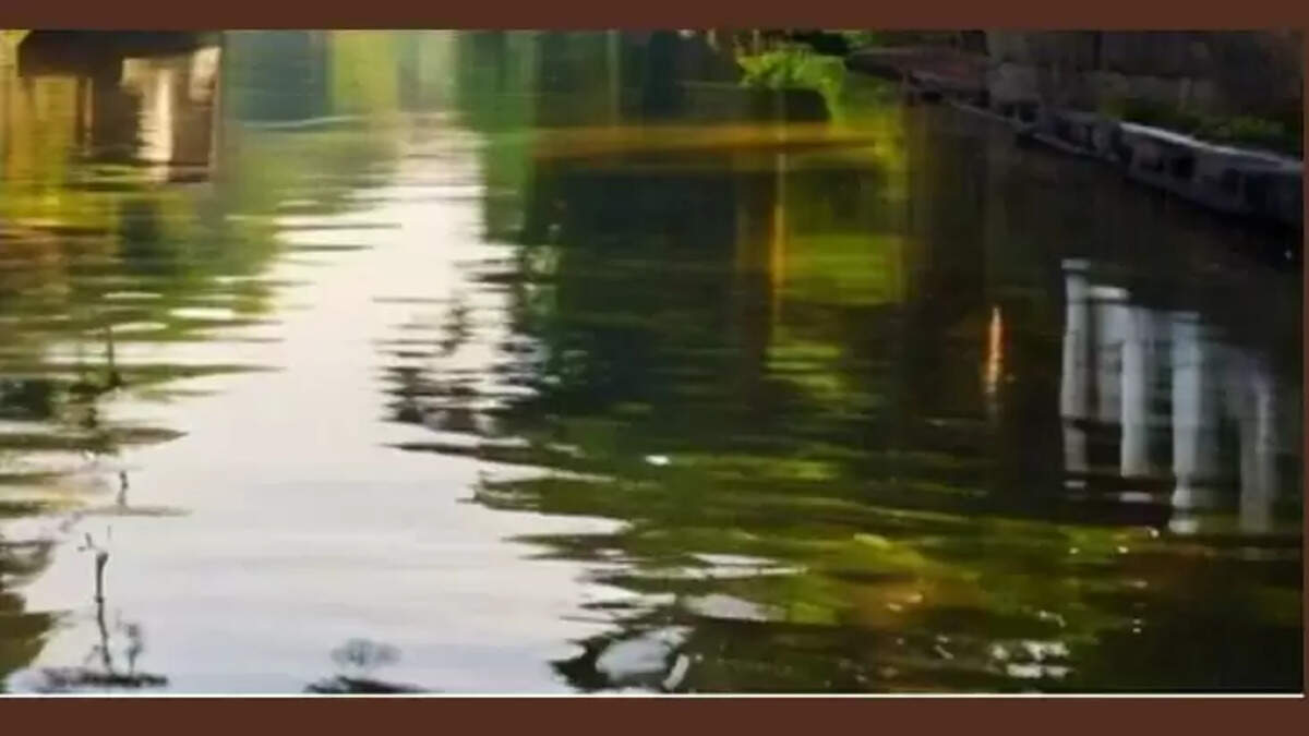 Youths Body Found in Alappuzha Canal
