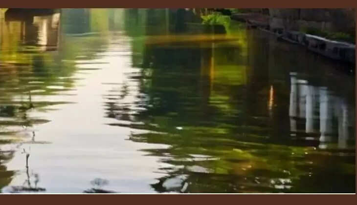 Youths Body Found in Alappuzha Canal