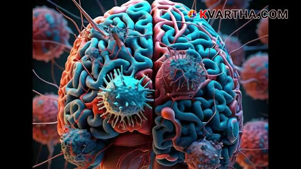 New Research Finds Memories Beyond the Brain