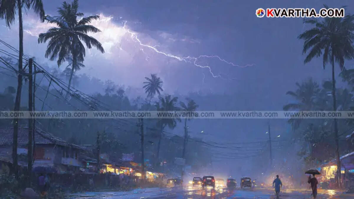 Image of heavy rain and lightning (Representative Photo).