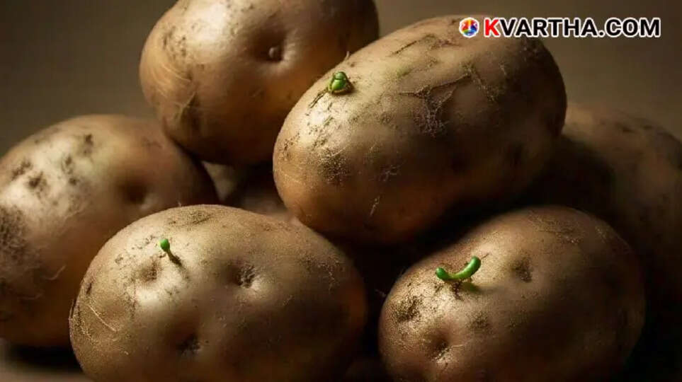 surprising everyday uses of potatoes beyond cooking