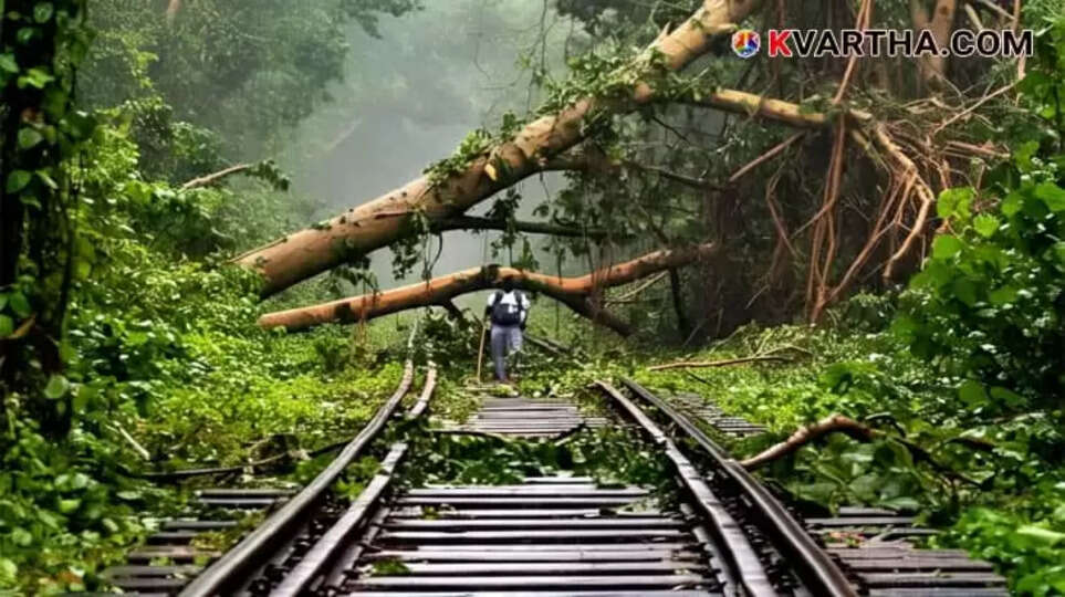 Image representing Large tree fallen across railway tracks in Thrissur, obstructing train movement.