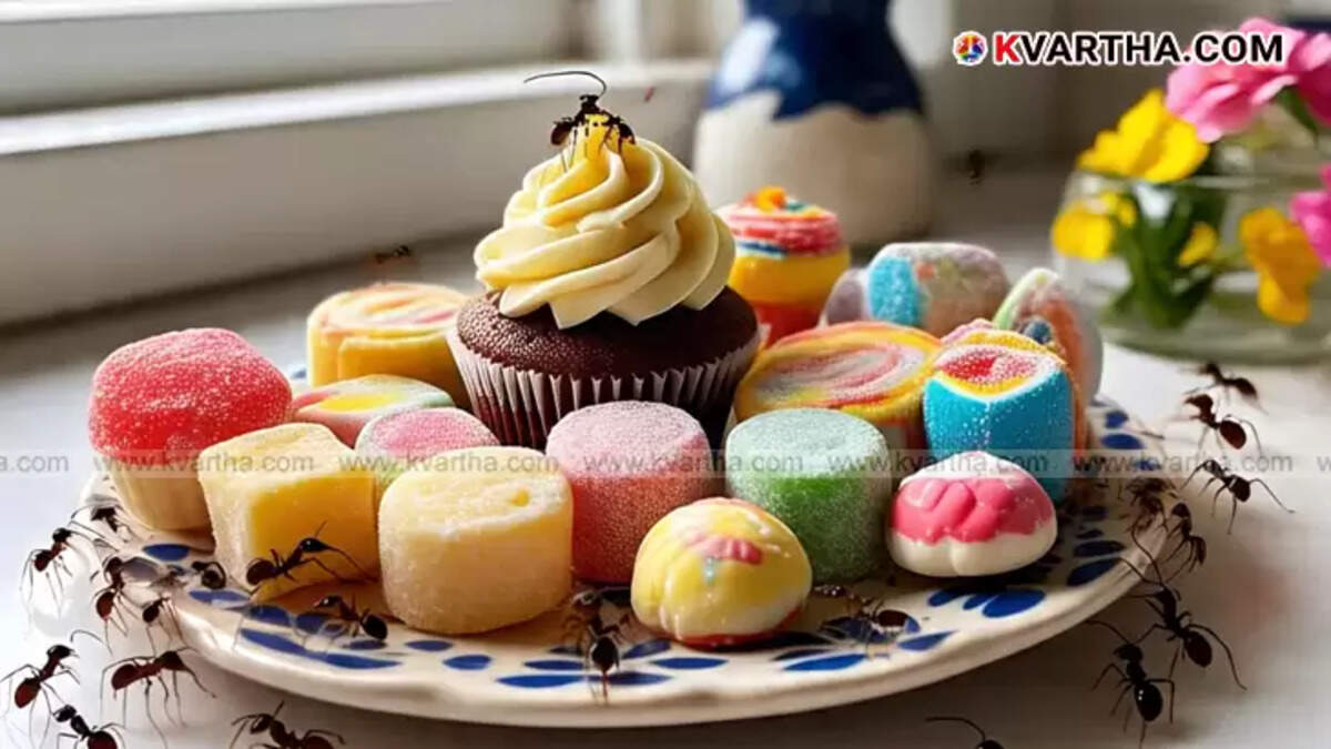  Ants crawling near a pile of sweet food items, illustrating an ant infestation problem.