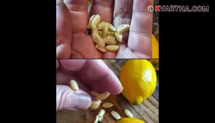 The Surprising Benefits of Lemon Seeds