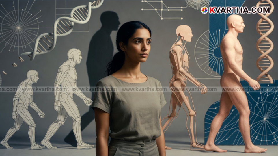 Illustration of human evolution stages.