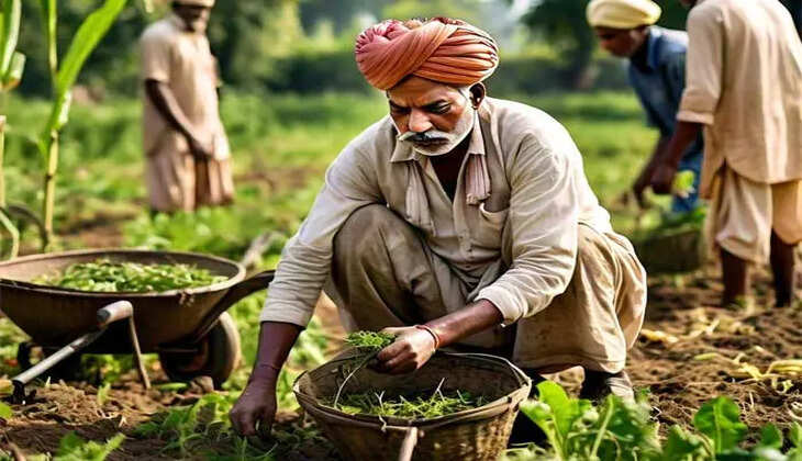 Government approves seven schemes for farmers' welfare