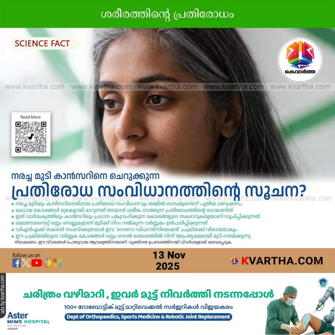 gray hair melanoma cancer link stem cell research