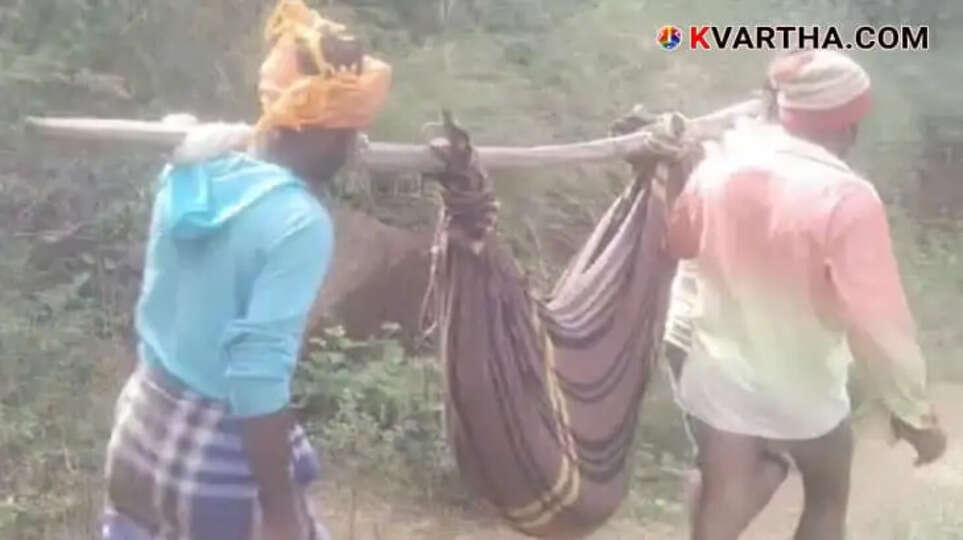 No road to reach hospital, 13 year old girl dies of snakebite in Tamil Nadu