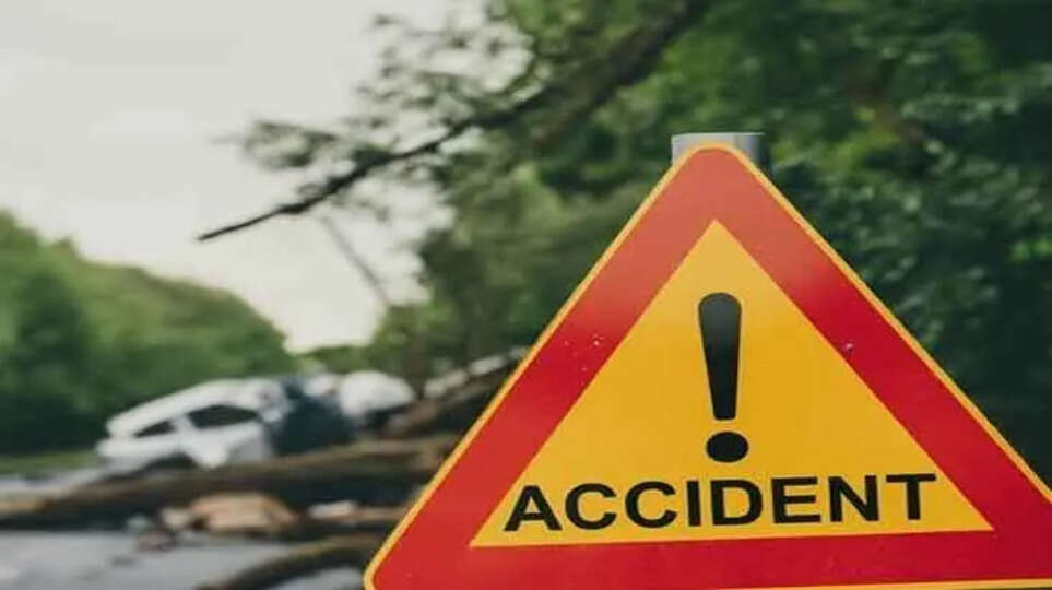 NRI and Daughter Died in Kerala Road Accident