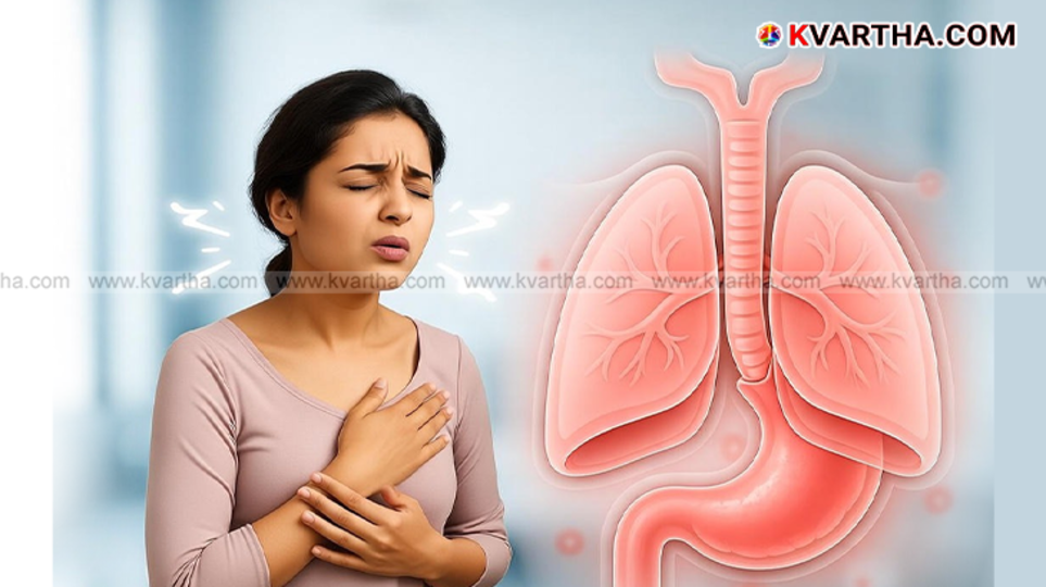  Diagram showing the diaphragm and its connection to the lungs.