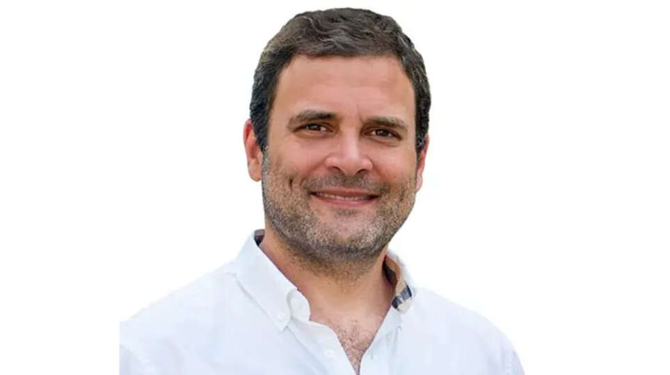  Rahul Gandhi Claims Wayanad Will Have Two MPs