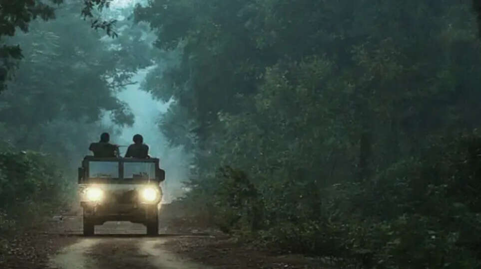 Deadly Clash in Chhattisgarh: Security Forces Kill 20 Maoists