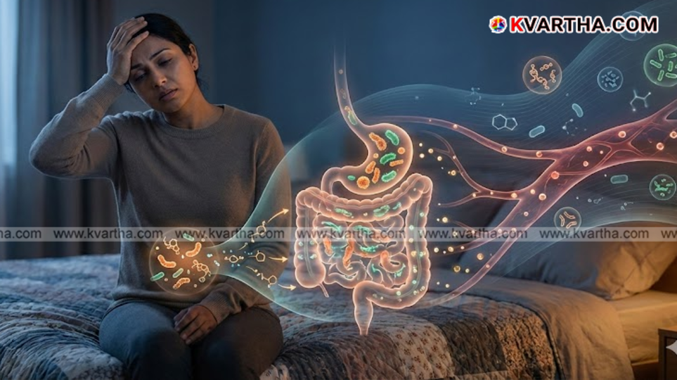 Illustration showing bacteria in the human gut causing fermentation.