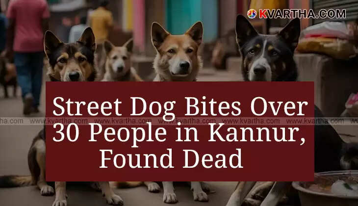 Street dog attack in Kannur, animal safety concern