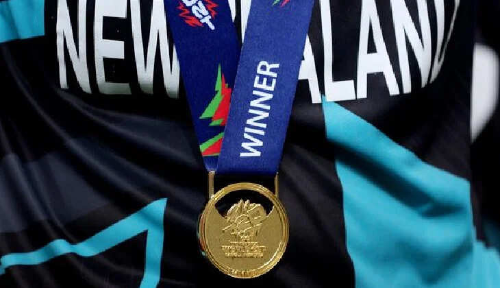 new zealand clinches womens t20 world cup