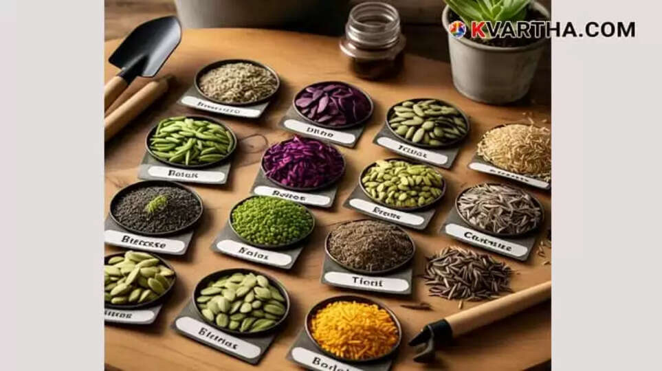 20 Tips for Starting a Kitchen Garden