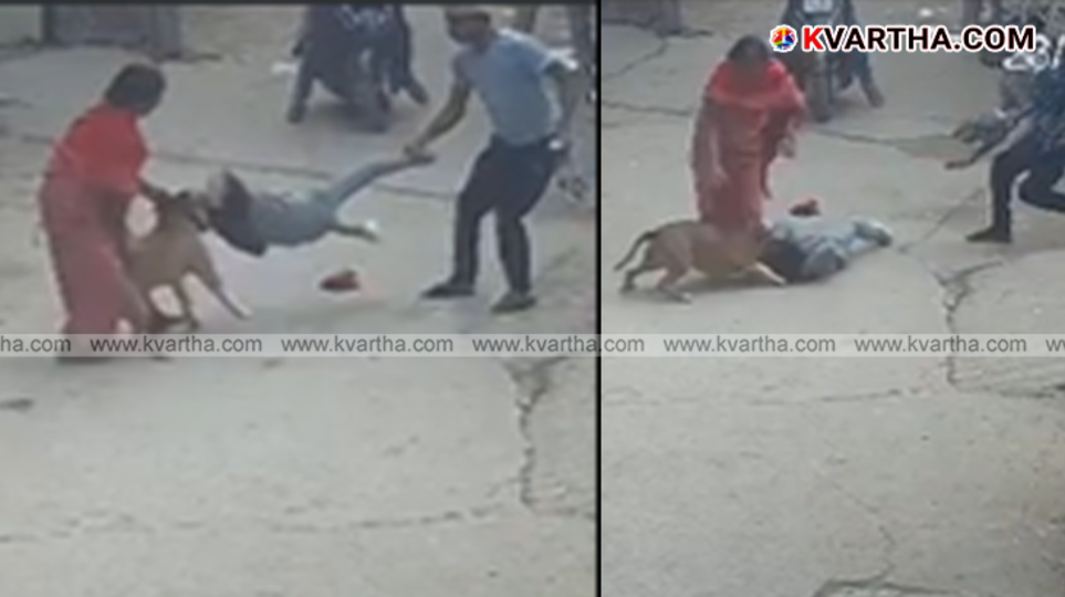 Police arresting a man (dog owner) after a dog attack incident.