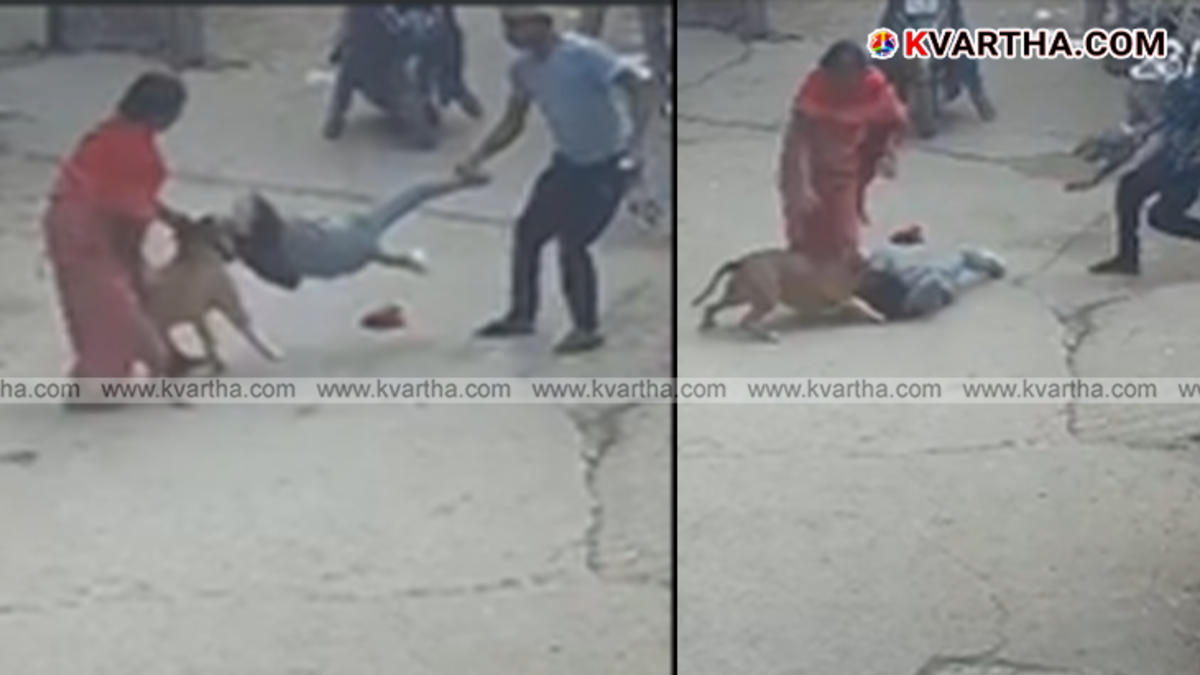 Police arresting a man (dog owner) after a dog attack incident.