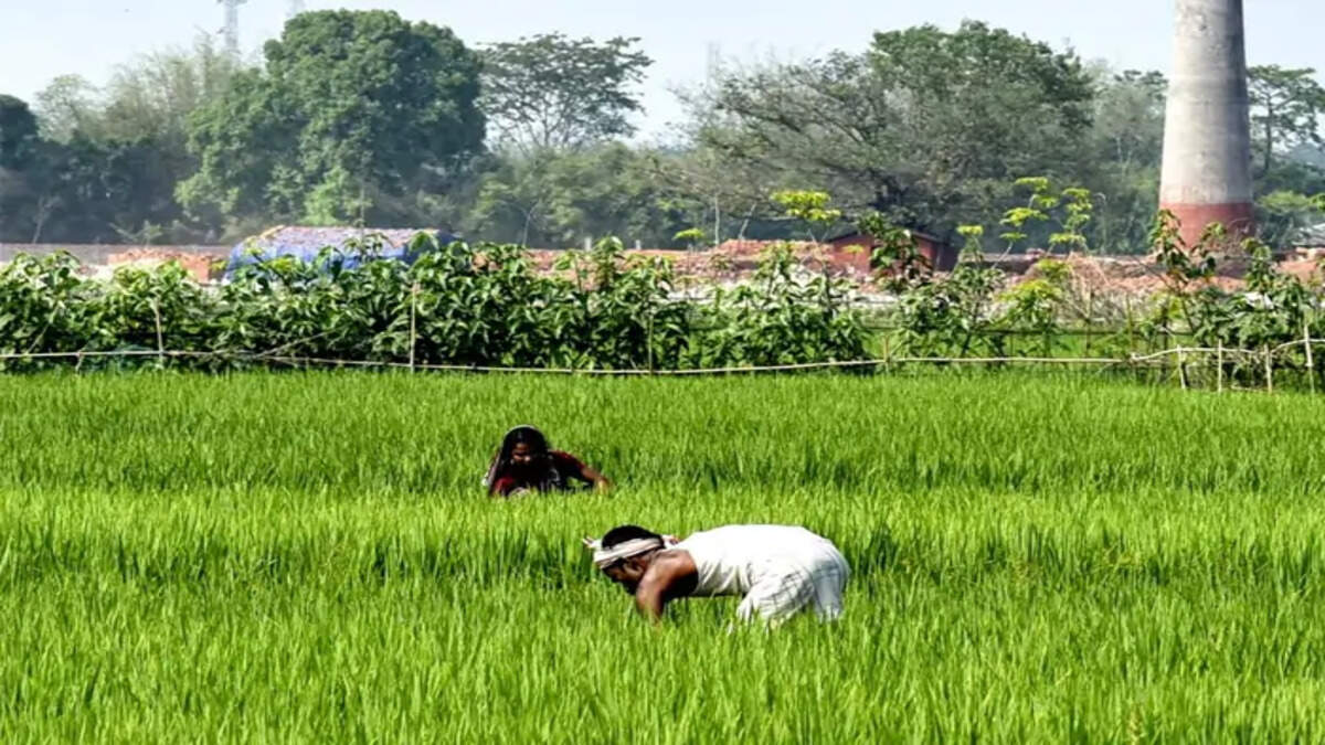 PM-KISAN 17th instalment to release on June 18: How farmers can check eligibility and payment status