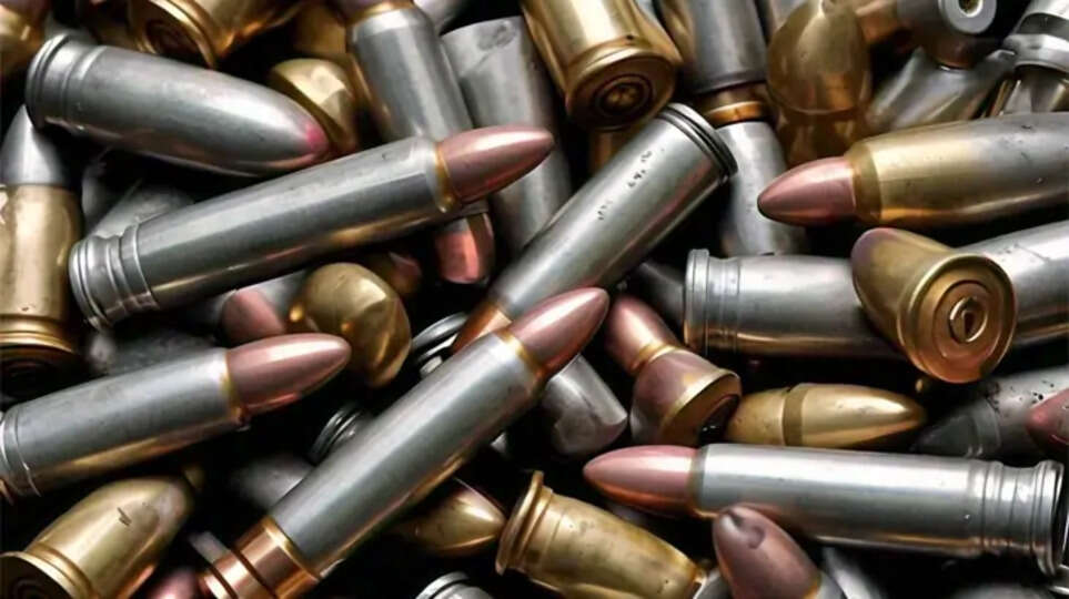 Police seize 500 cartridges in Delhi