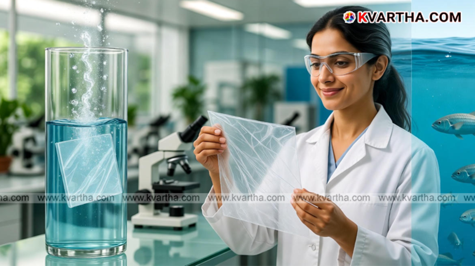 Scientific experiment showing biodegradable plastic dissolving in water