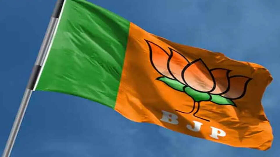 BJP Flag