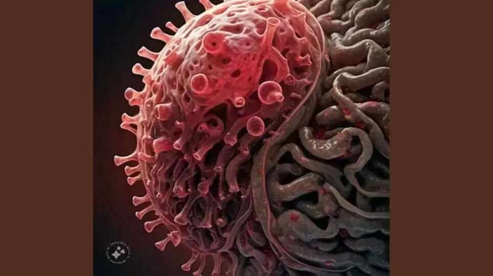 Four-Year-Old Recovers from Rare Brain-Eating Amoebic Meningoencephalitis, Amoebic Meningoencephalitis, Rare Disease, Child Recovery.