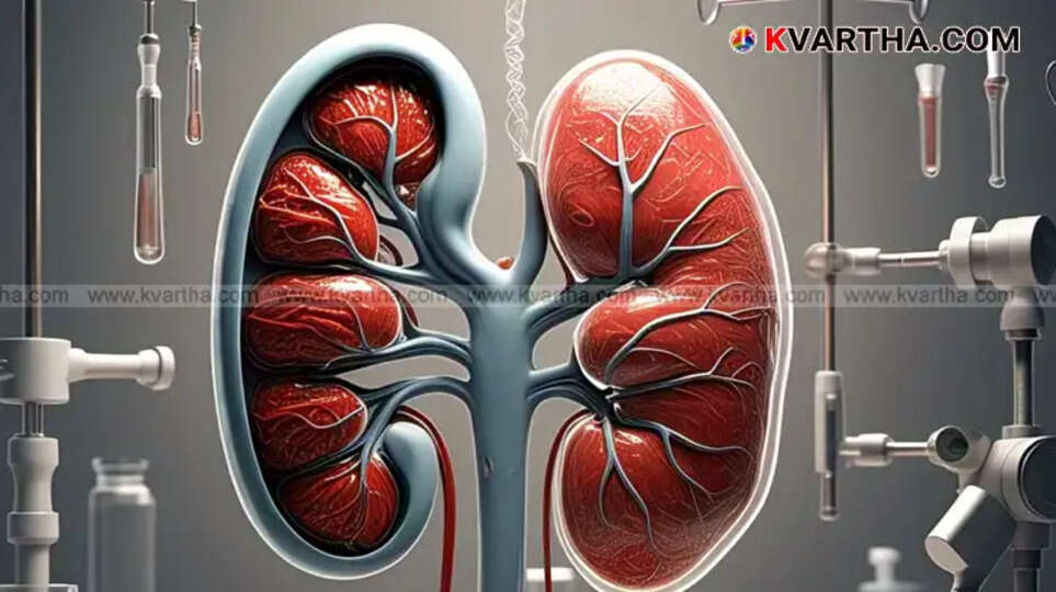 Foods to Include in Your Diet for Healthy Kidneys