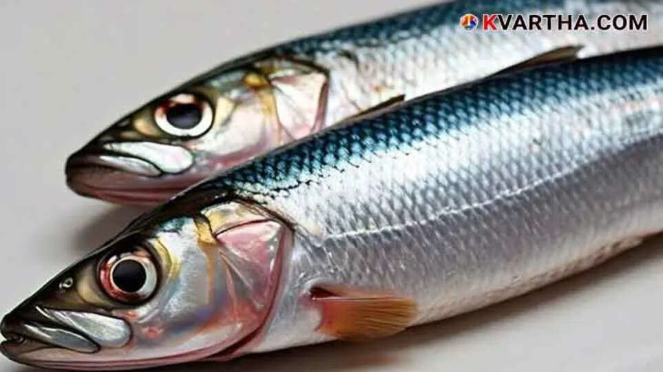 World Sardine Day: A Rare Blend of Nutrients in This Fish, Beneficial in Many Ways