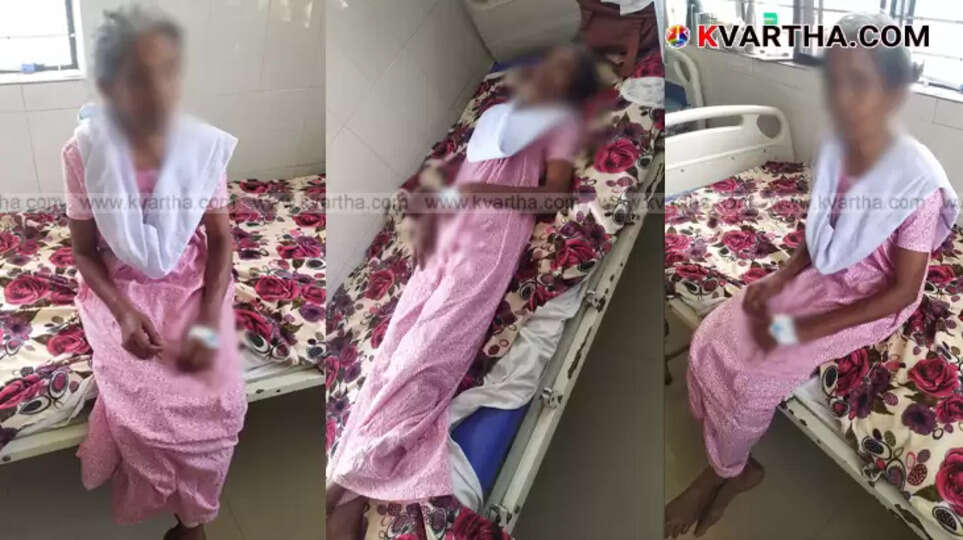 Bee Attack on Forest Path; Anganwadi Worker Survived by Drowning in Stream, Seriously Injured