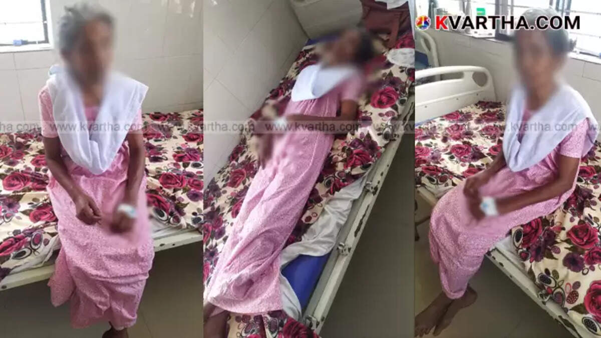 Bee Attack on Forest Path; Anganwadi Worker Survived by Drowning in Stream, Seriously Injured