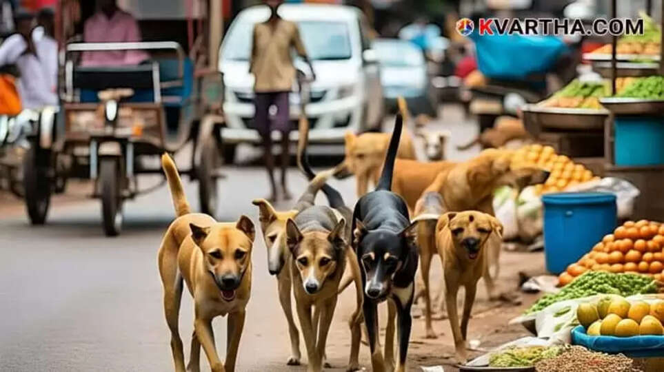 Image Representing Six Injured in Street Dog Attack in Alappuzha