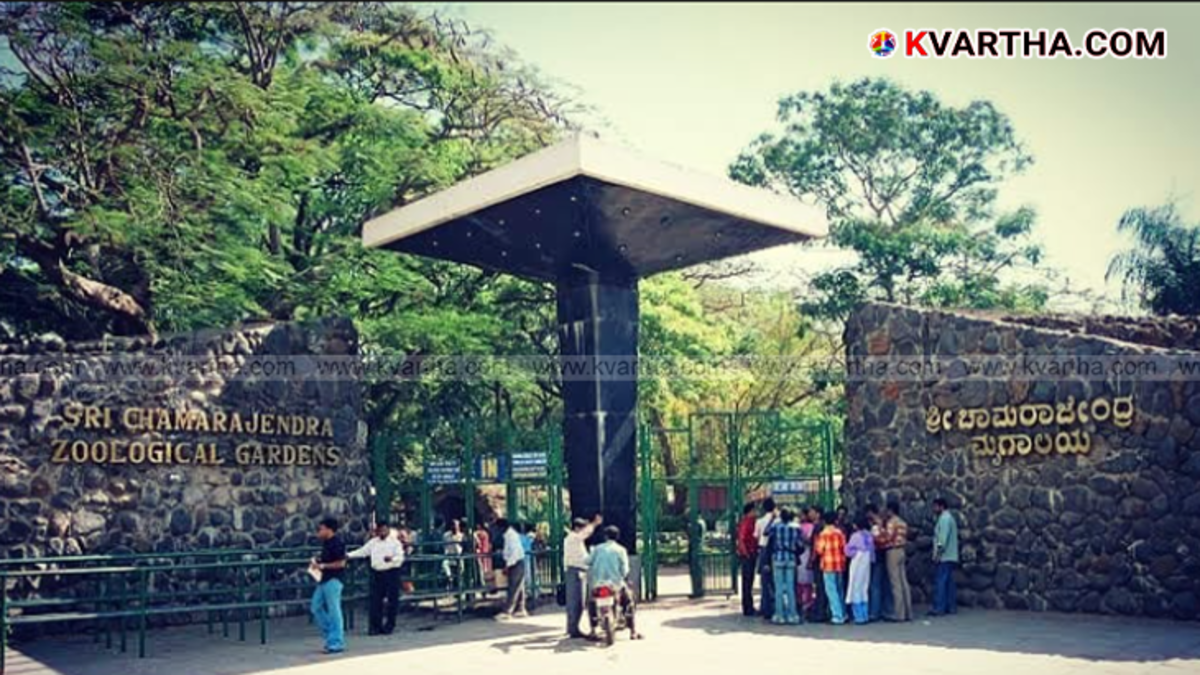 Crowd at Mysore Zoo during Dasara festival