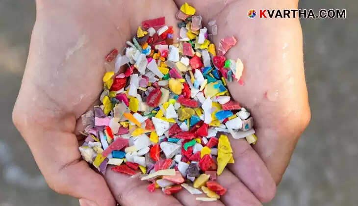  Microplastic levels in human brain, environmental health risks
