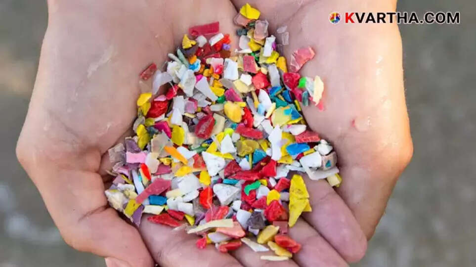Microplastic levels in human brain, environmental health risks