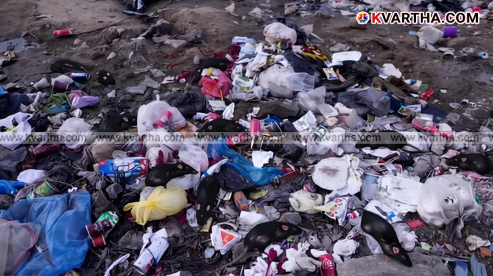 A symbolic scene depicting the dire conditions and rat infestation in the refugee camps in Gaza.