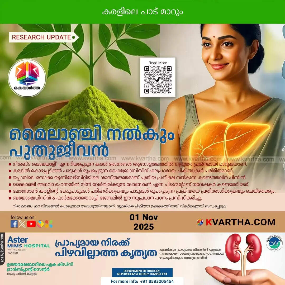 henna lawson prevents reverses fatty liver fibrosis