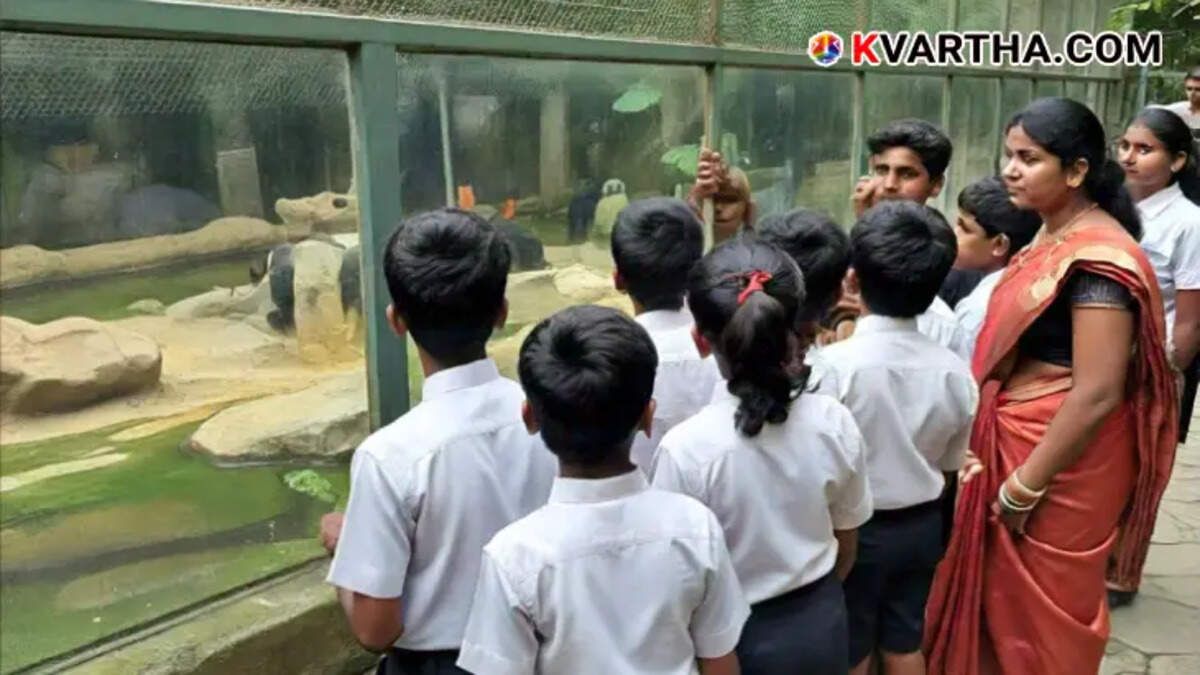 Should Teachers Join Students on Tours at Their Expense? A Teacher's Viral Post