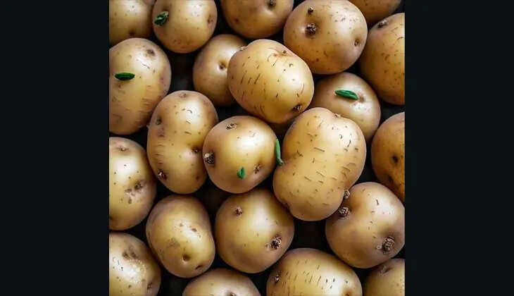 A person enjoying a healthy meal without potatoes.